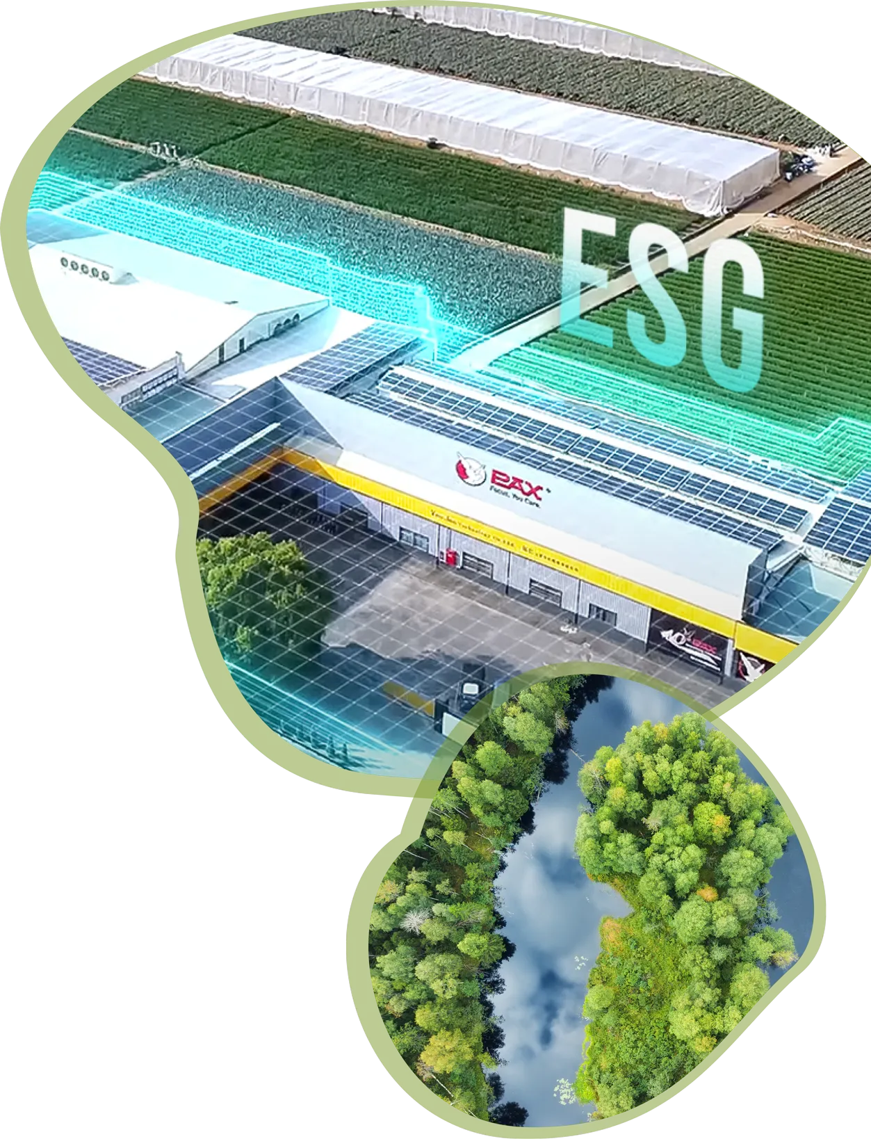 Environment