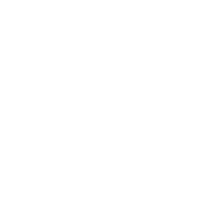 ESG & ECONOMIC INTEGRATION
